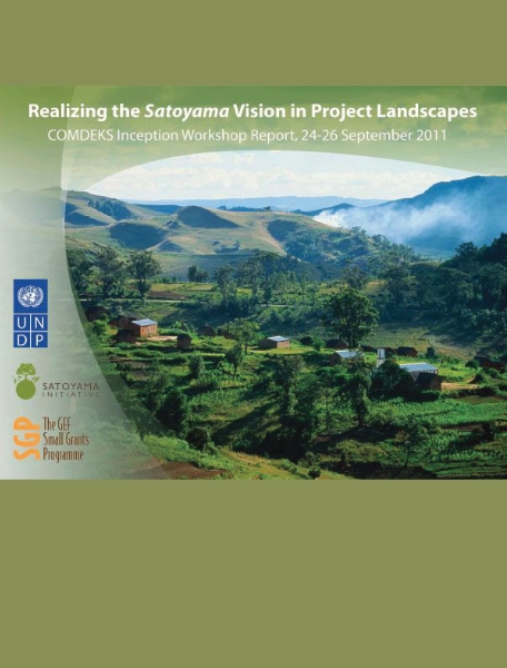 Realizing the Satoyama Vision in Project Landscapes Realizing the Satoyama Vision in Project Landscapes