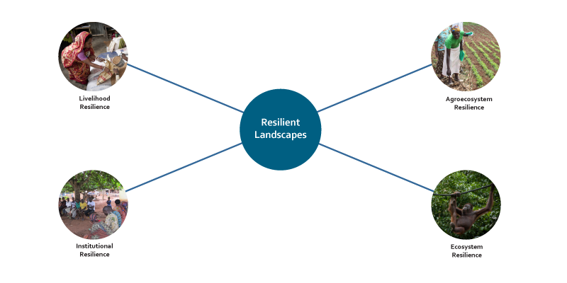 Resilience Framework Diagram
