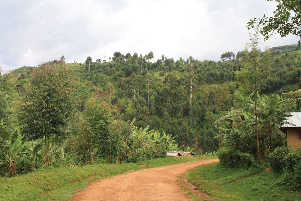 dirt road dirt road