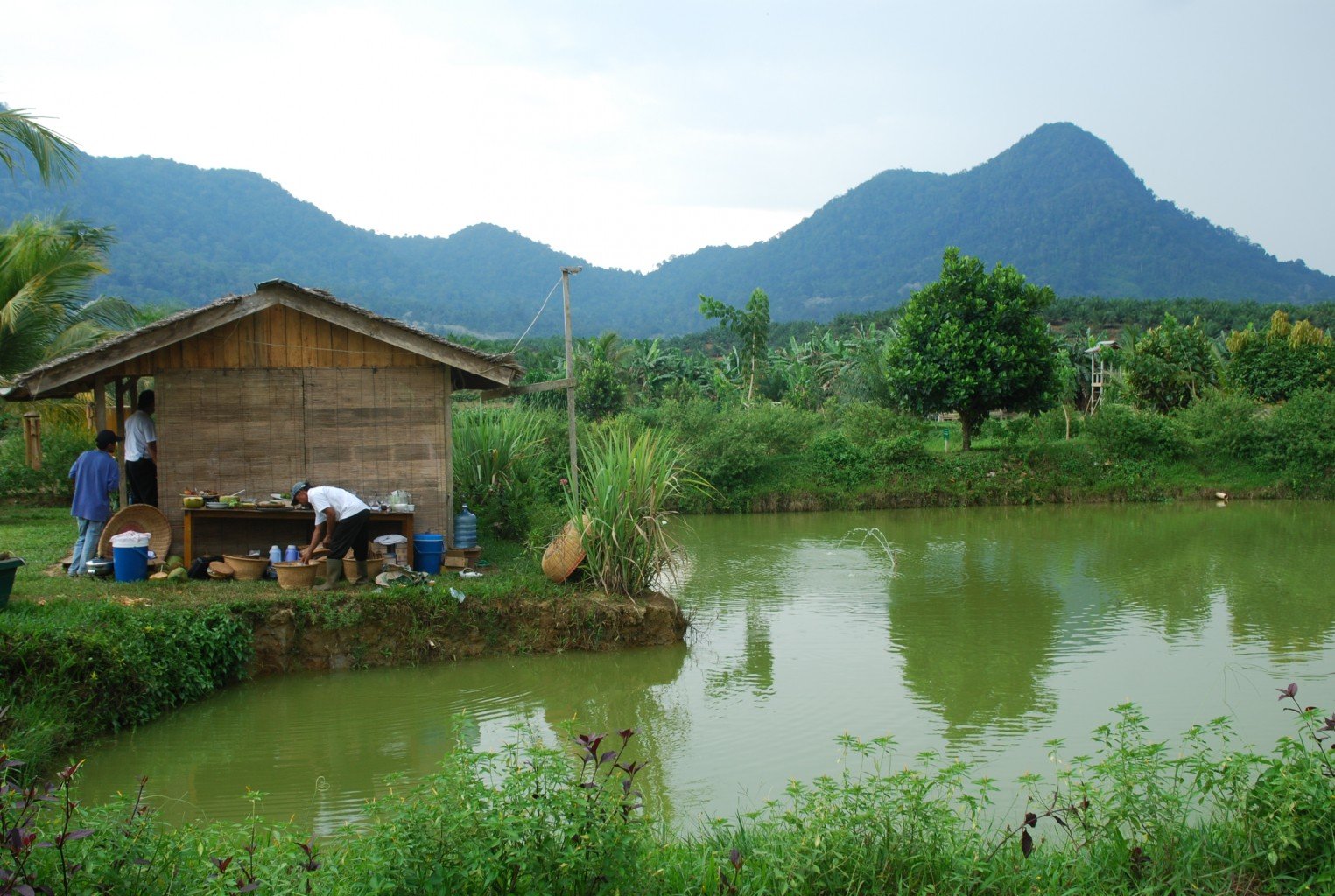 aquatic ecosystem