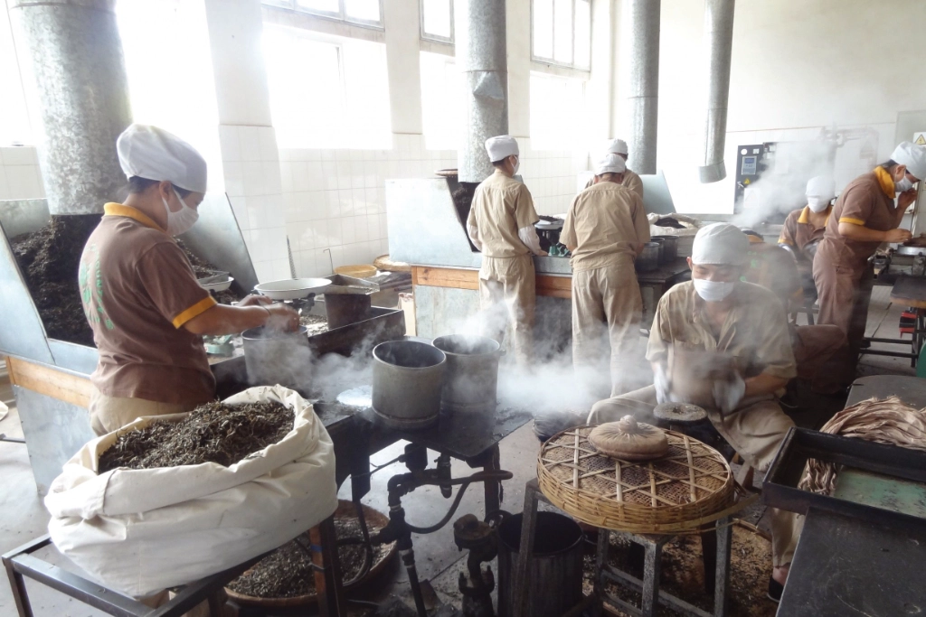 Processing Plant