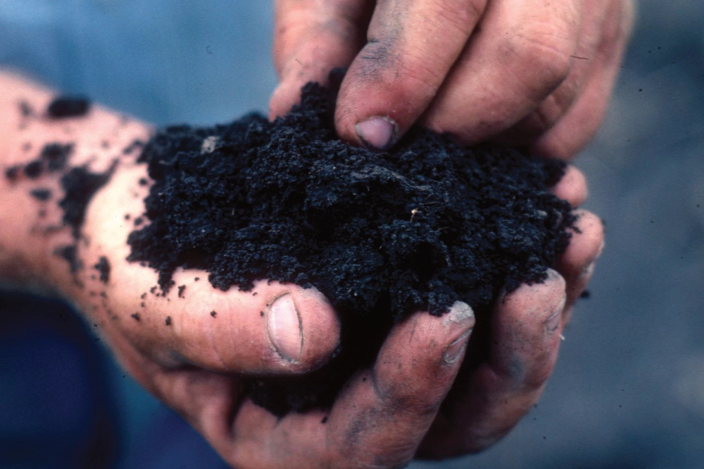 A handful of soil A handful of soil
