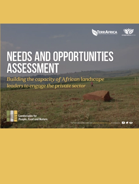 Needs and Opportunities Assessment Needs and Opportunities Assessment