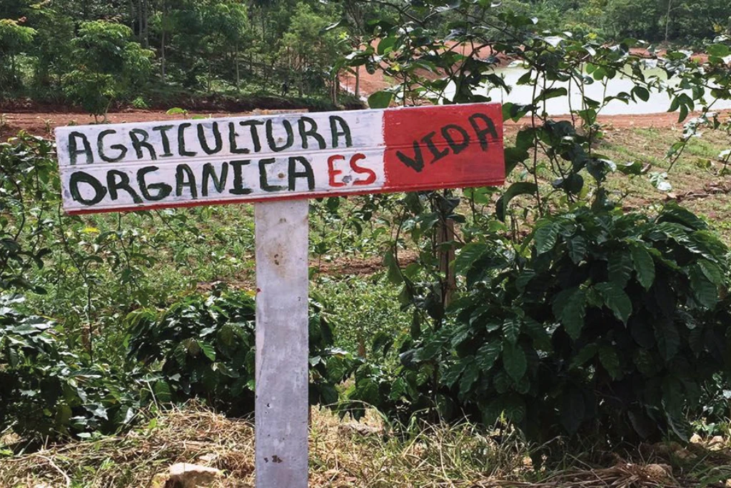 Organic Agriculture Sign