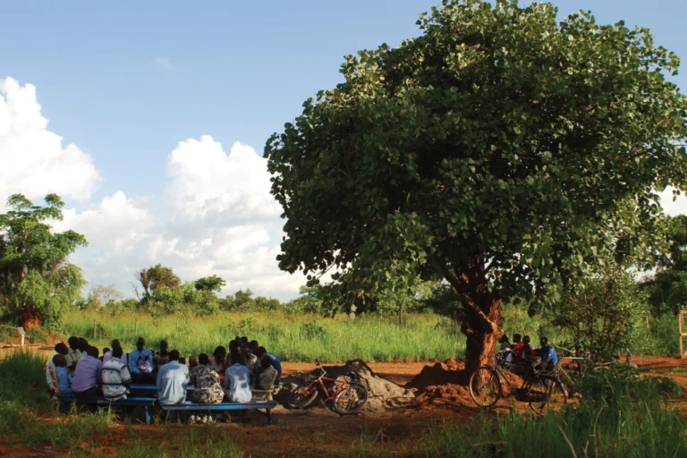 A group of people meets under the shade of a large tree A group of people meets under the shade of a large tree