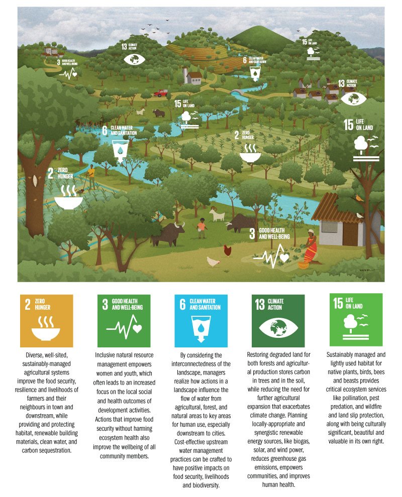 SDG Infographic