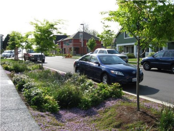 A bio-swale in Seattle, Washington, USA