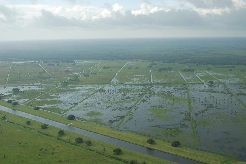 water-logged land water-logged land