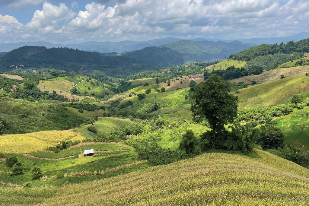 A local landscape with rolling hills A local landscape with rolling hills