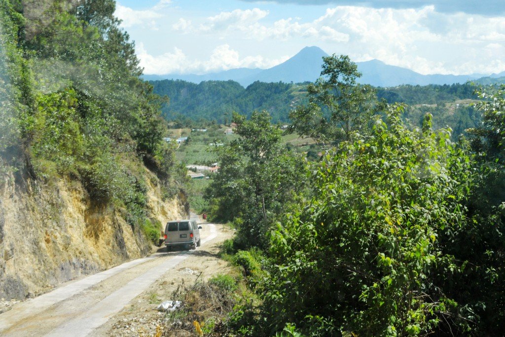 Guatemala Forest