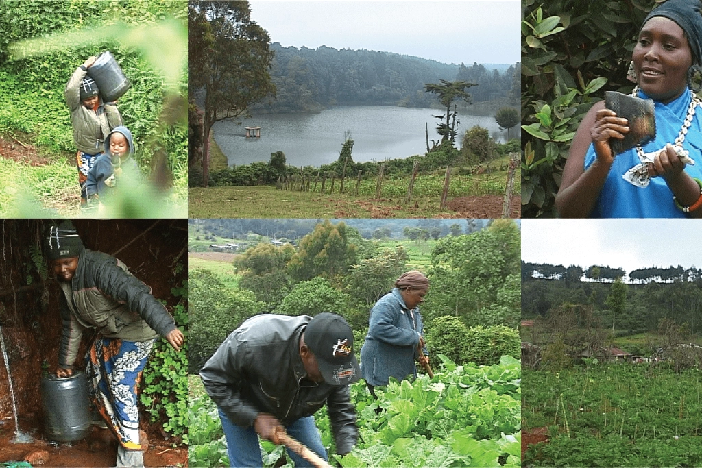 Local Community and families busy working the land Local Community and families busy working the land