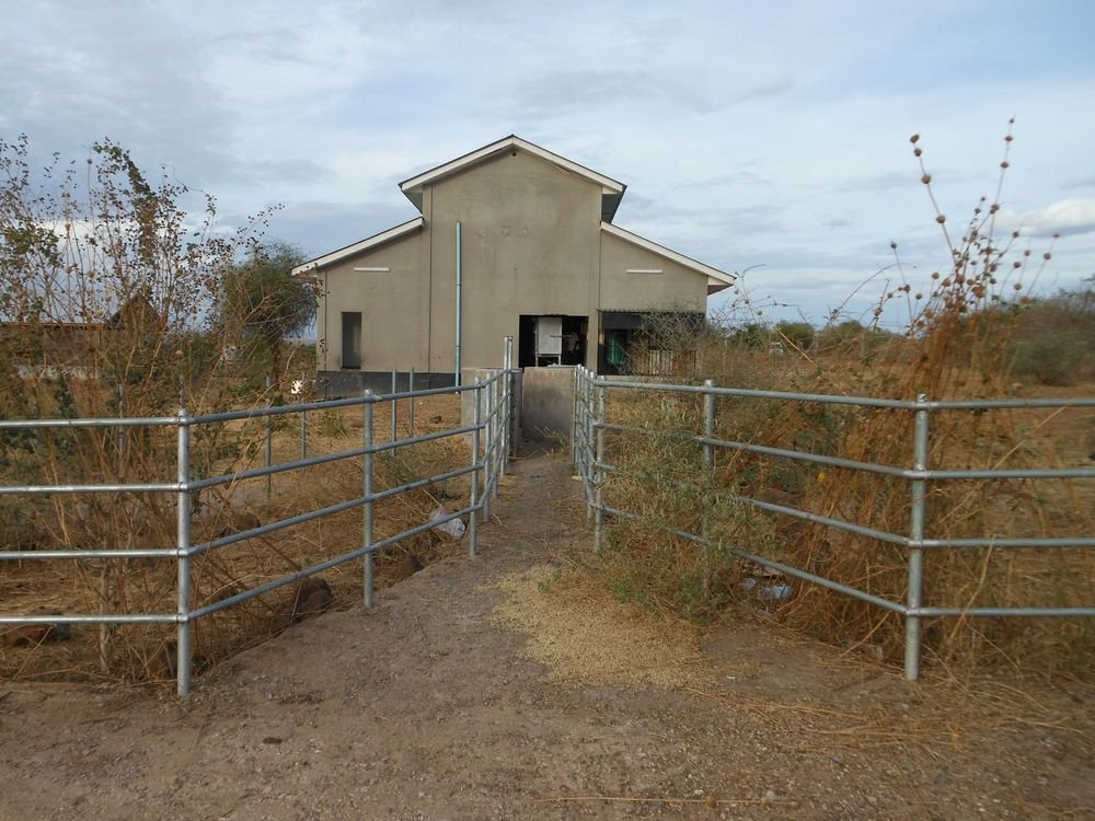New slaugherhouse on Manyara Ranch