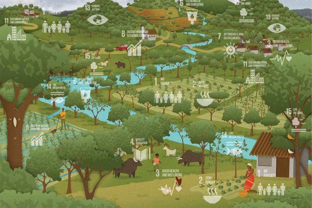 The relationship between SDGs and real life