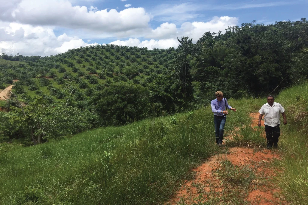 Two men walk on a farm road