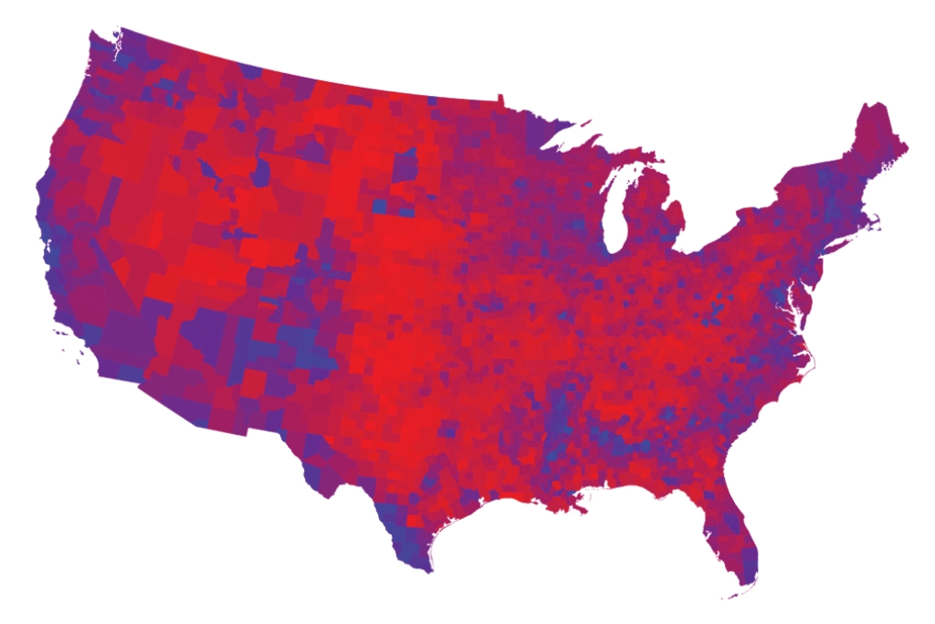 US Election Result infographic