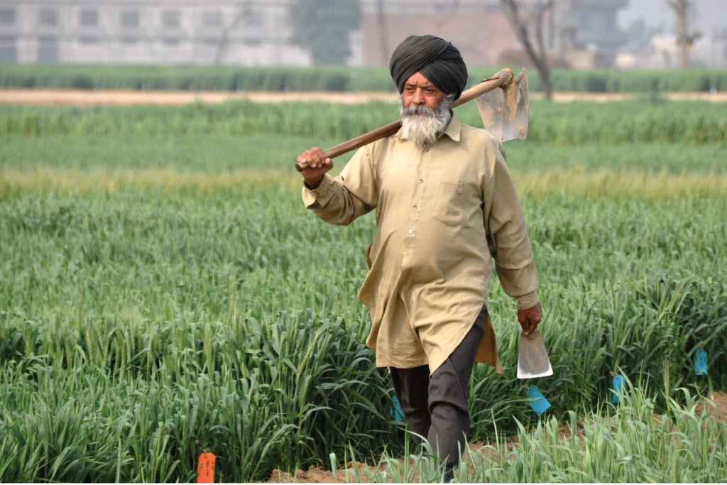 An Asian man walks through a field with a hoe over his shoulder An Asian man walks through a field with a hoe over his shoulder