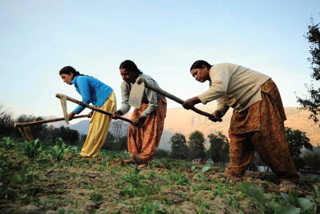 Women working their field Women working their field