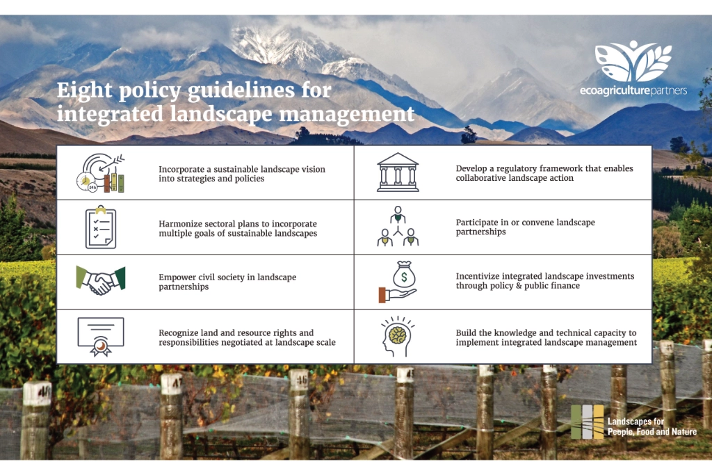 Eight policy guidelines for ILM