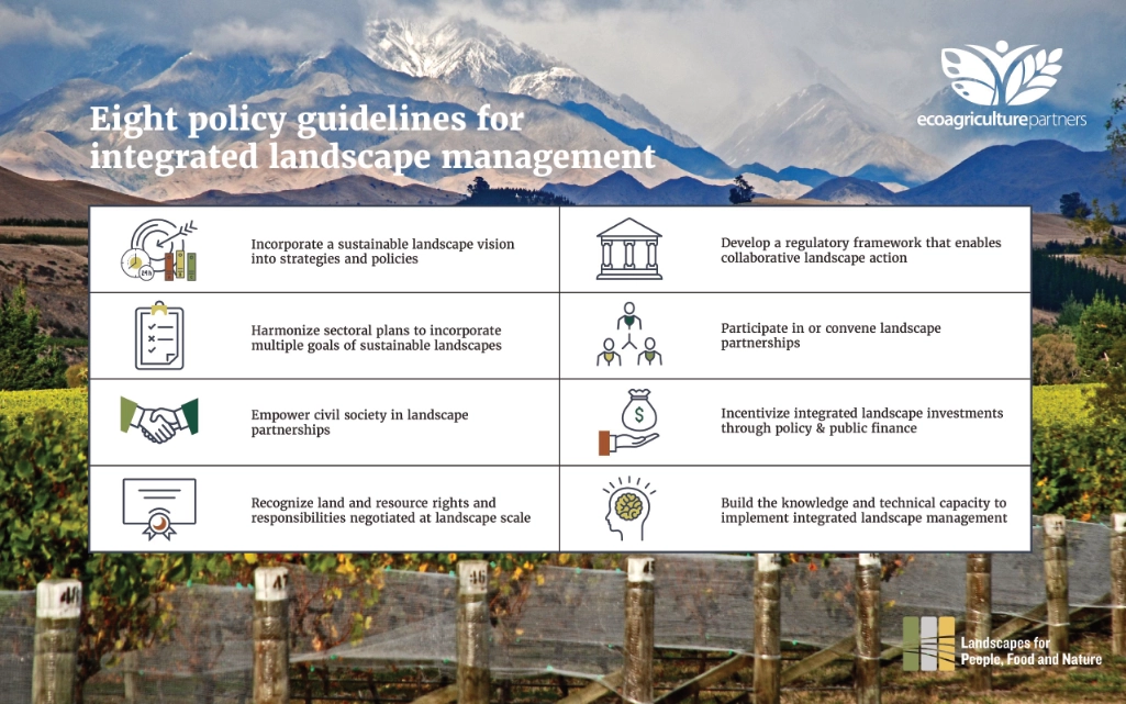 Eight policy guidelines for Integrated Landscape Management