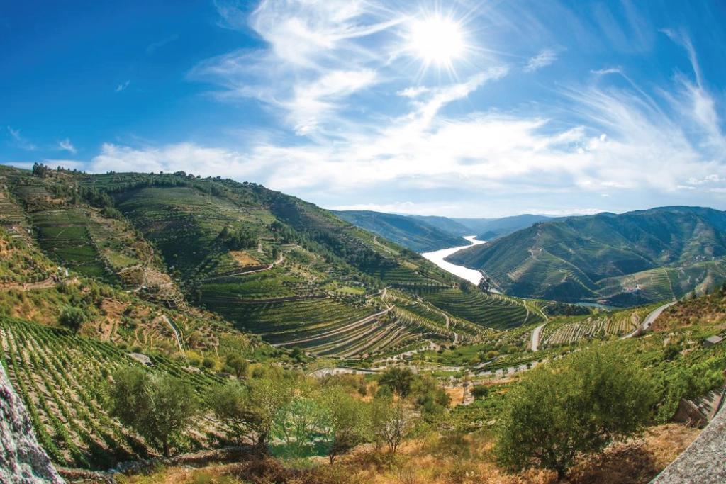 Terraced farming on the sides of a river valley