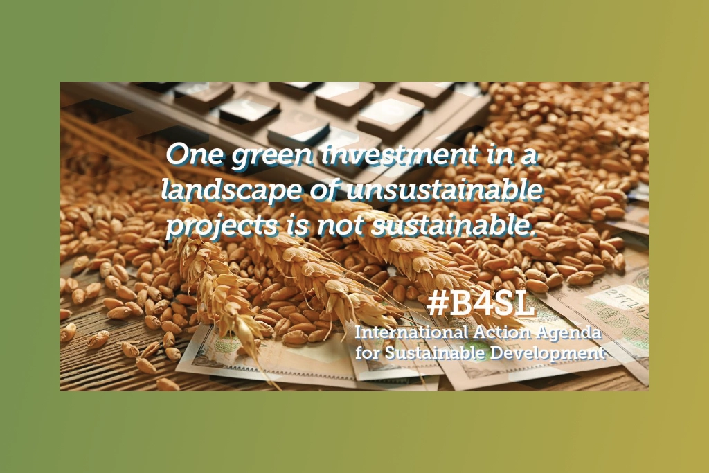 One green investment in a landscape of unsustainable projects is not sustainable