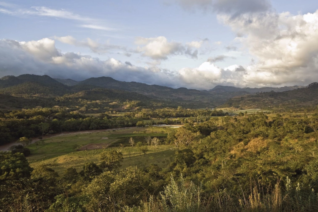 Land, trees and mountains