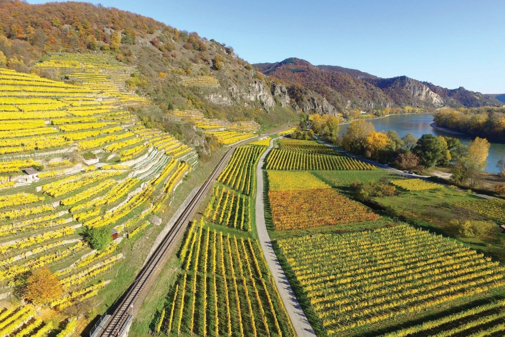 Biodiverse agriculture along a river bank, with terraces on the side of a hill