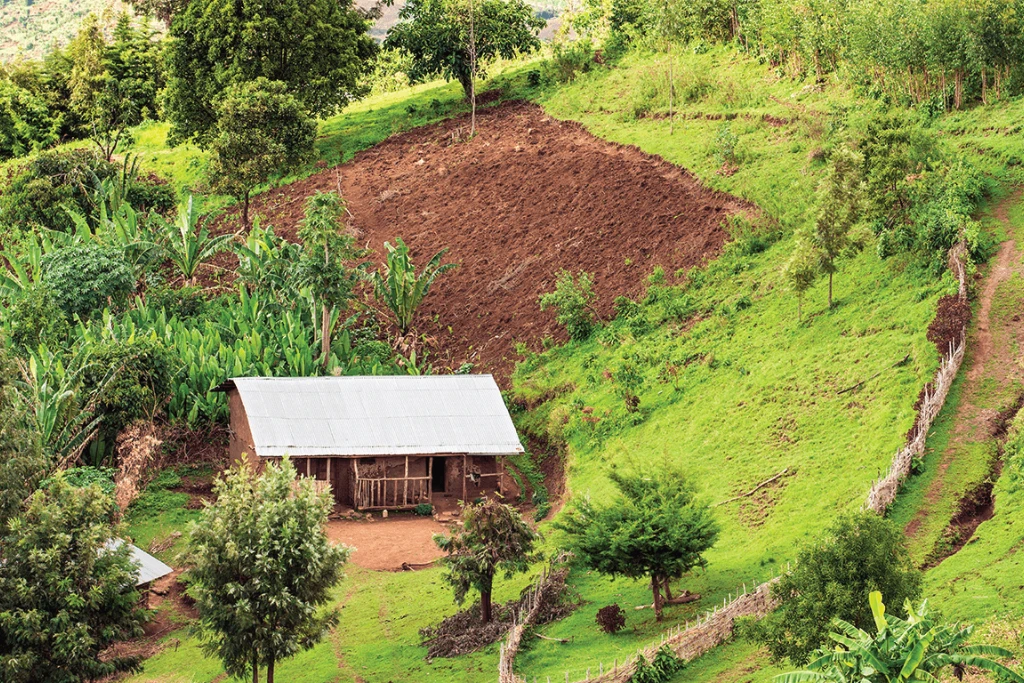 A rural farmstead, with a mud, wood and iron building A rural farmstead, with a mud, wood and iron building