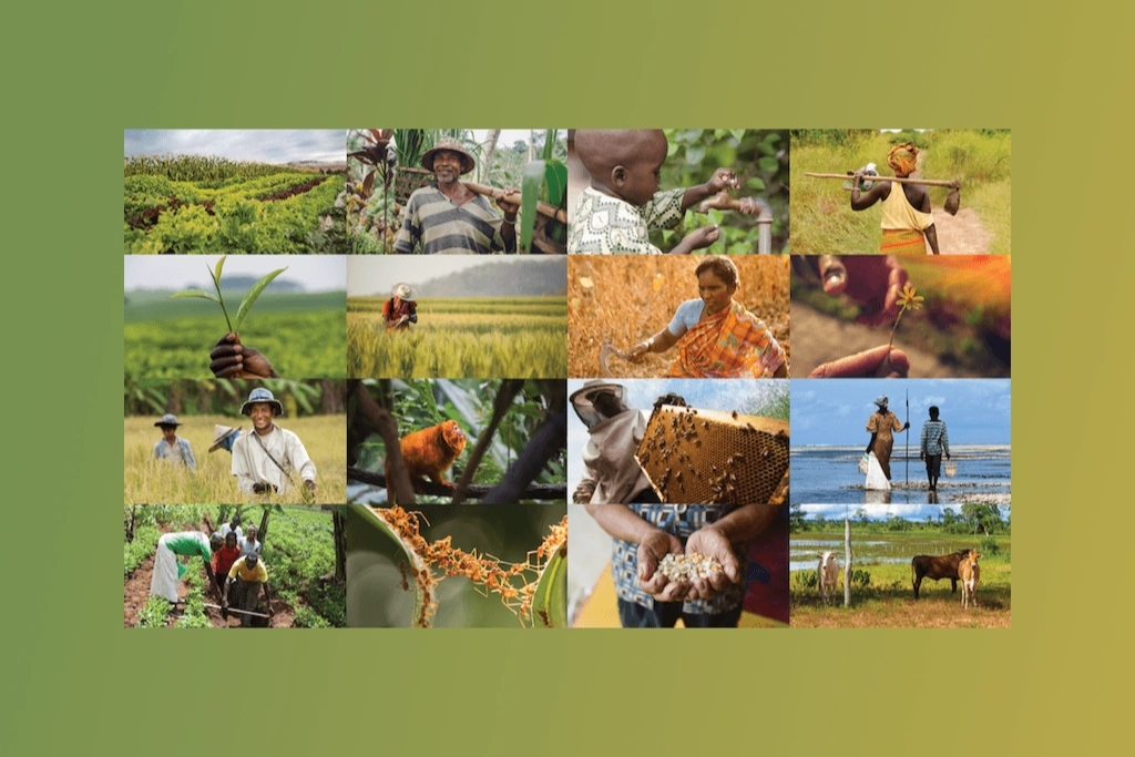 Various landscape activities and livelihoods