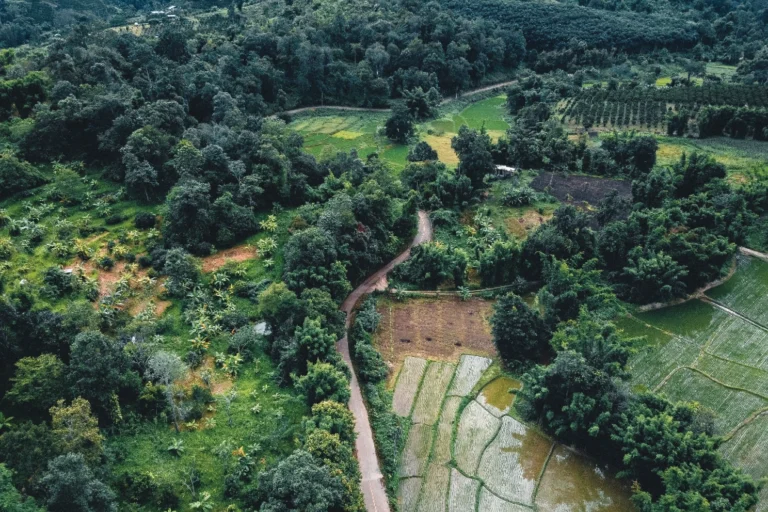 Biodiverse Farming Landscape Biodiverse Farming Landscape