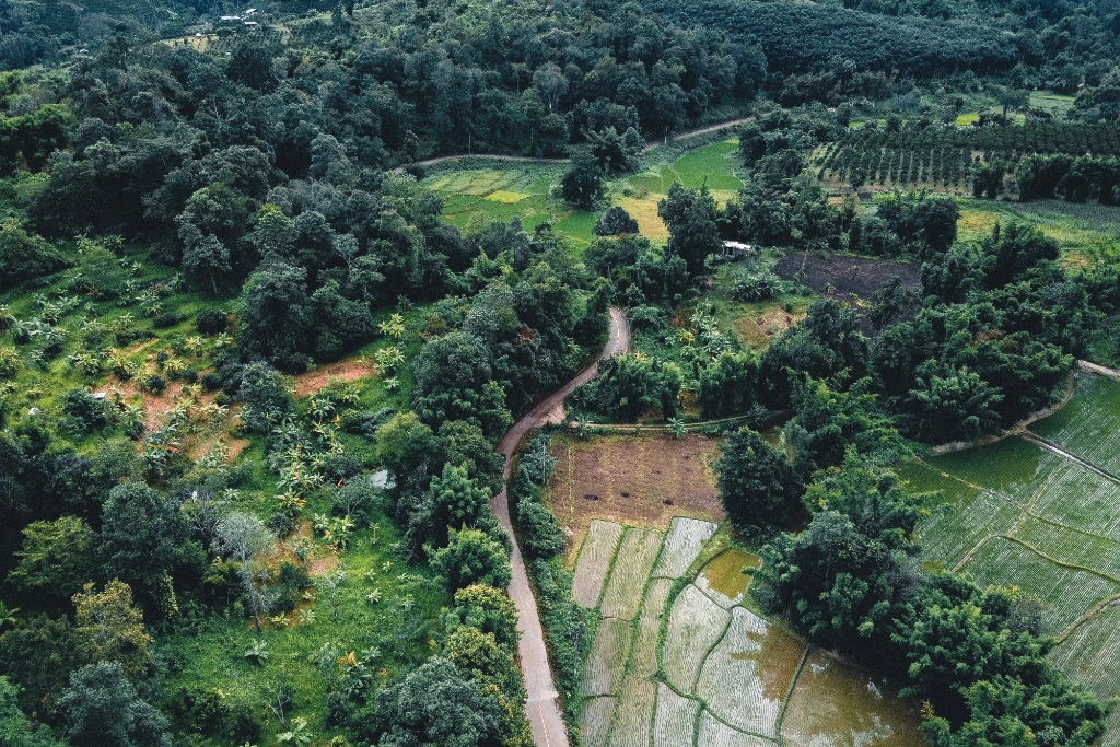 Biodiverse Farming Landscape