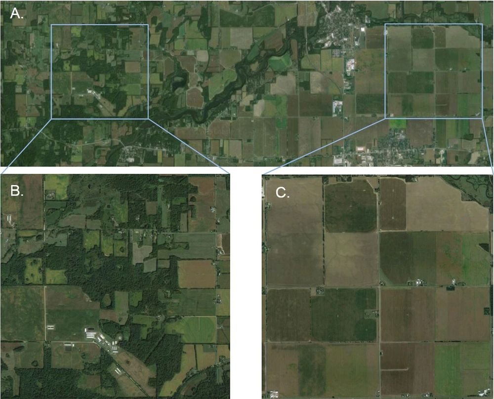 Typical agricultural landscape in southern Michigan