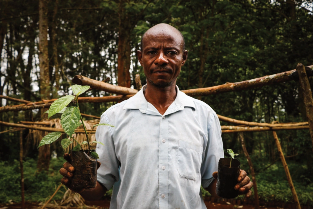 A man holds up saplings from a rural nursery A man holds up saplings from a rural nursery