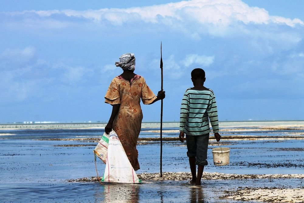 Freshwater fishing