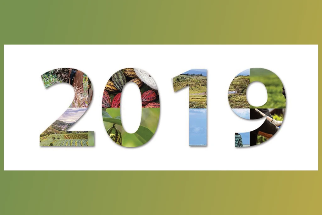 Looking back on 2019 Looking back on 2019