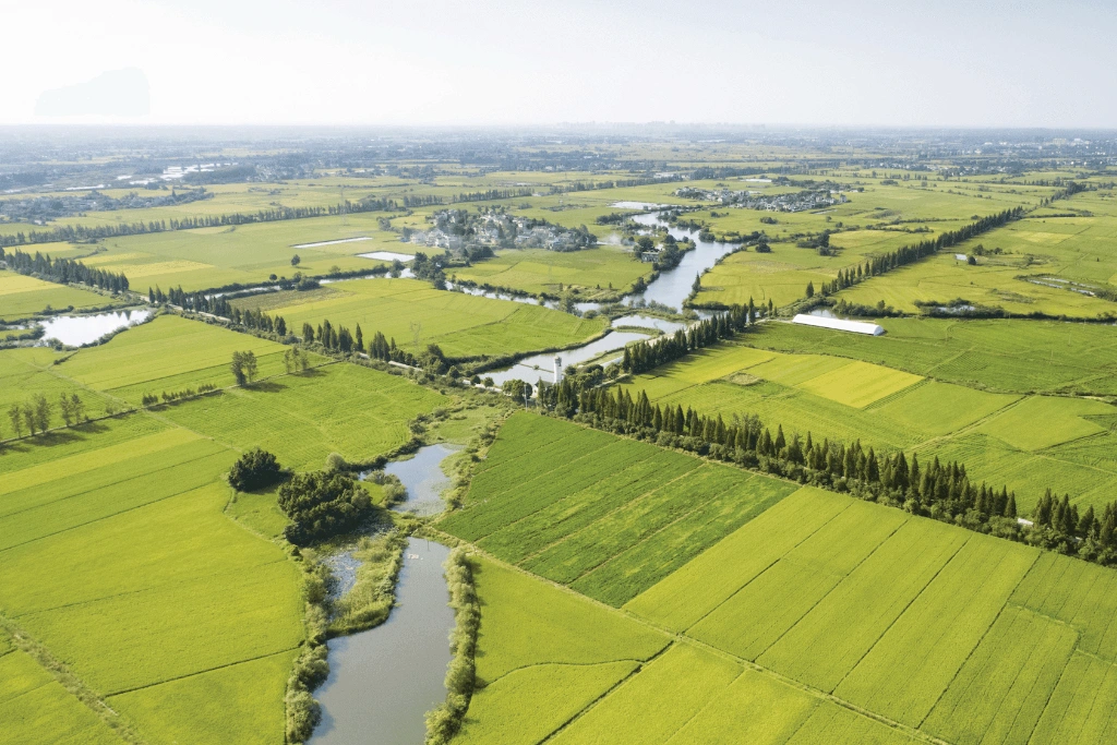 Agricultural land with wind breaks set-up around a river system Agricultural land with wind breaks set-up around a river system