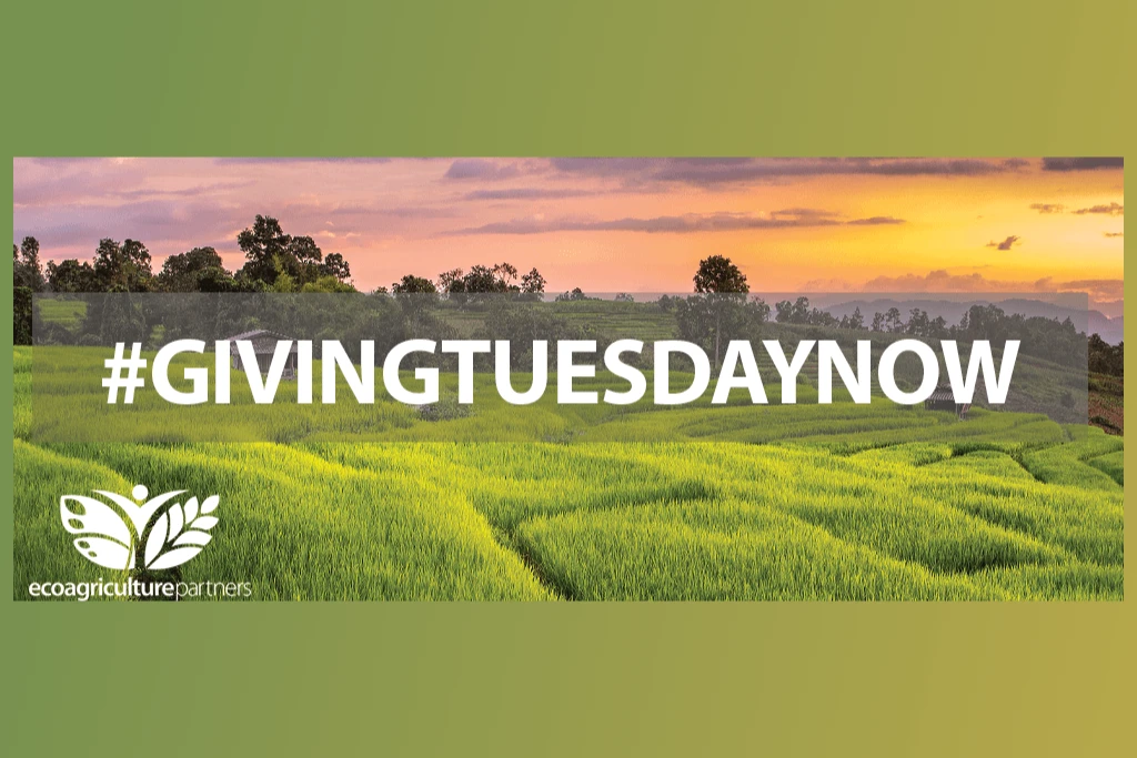 Giving Tuesday Now