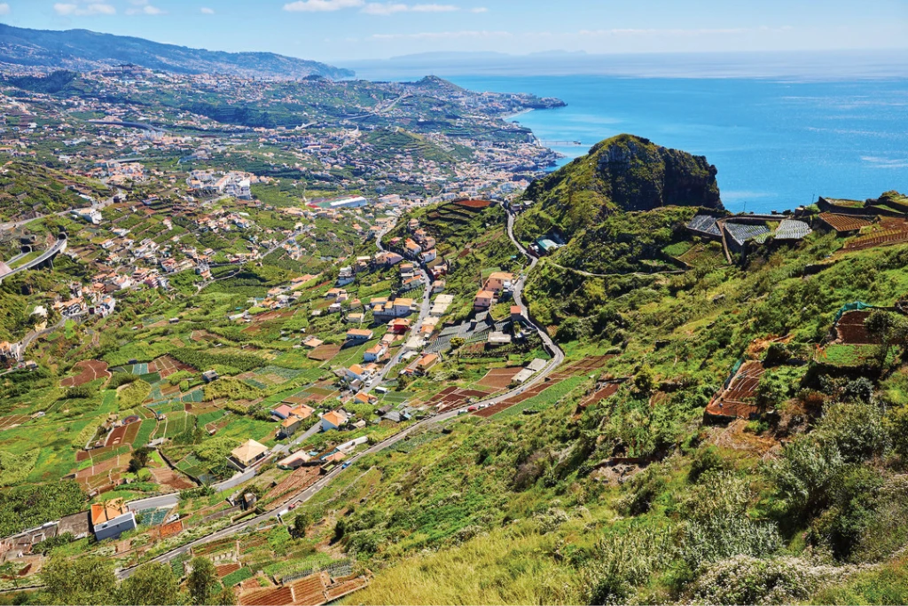 terraced landscape of Madeira Island, Portugal