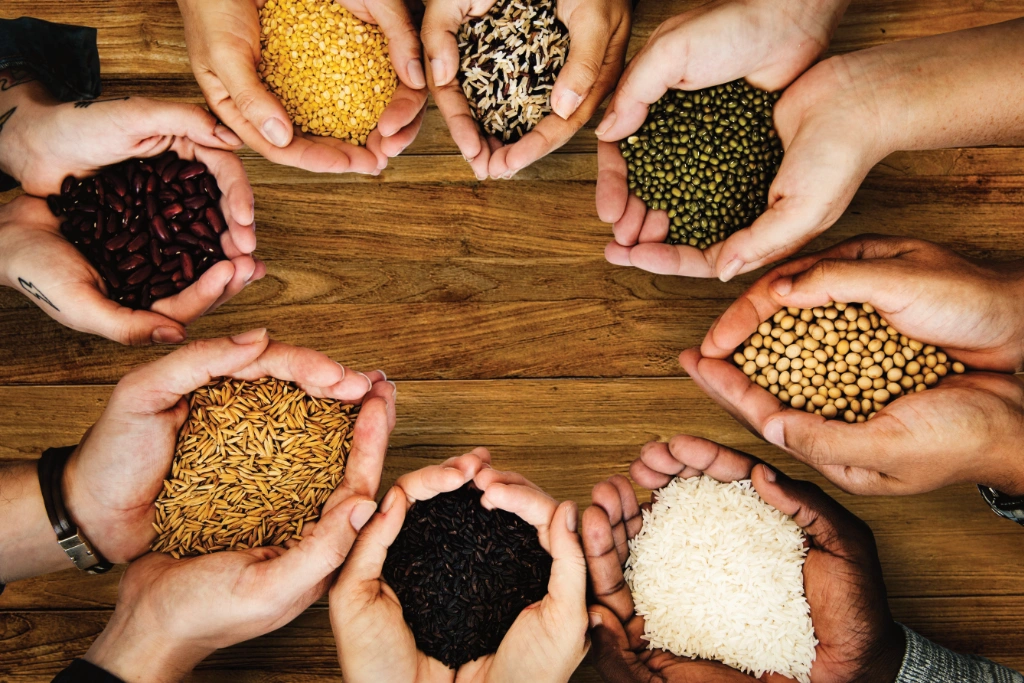 People holding different types of grain People holding different types of grain