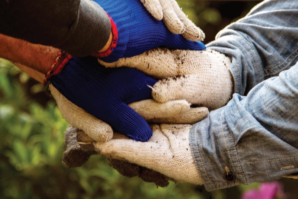 People with gardening gloves on unite