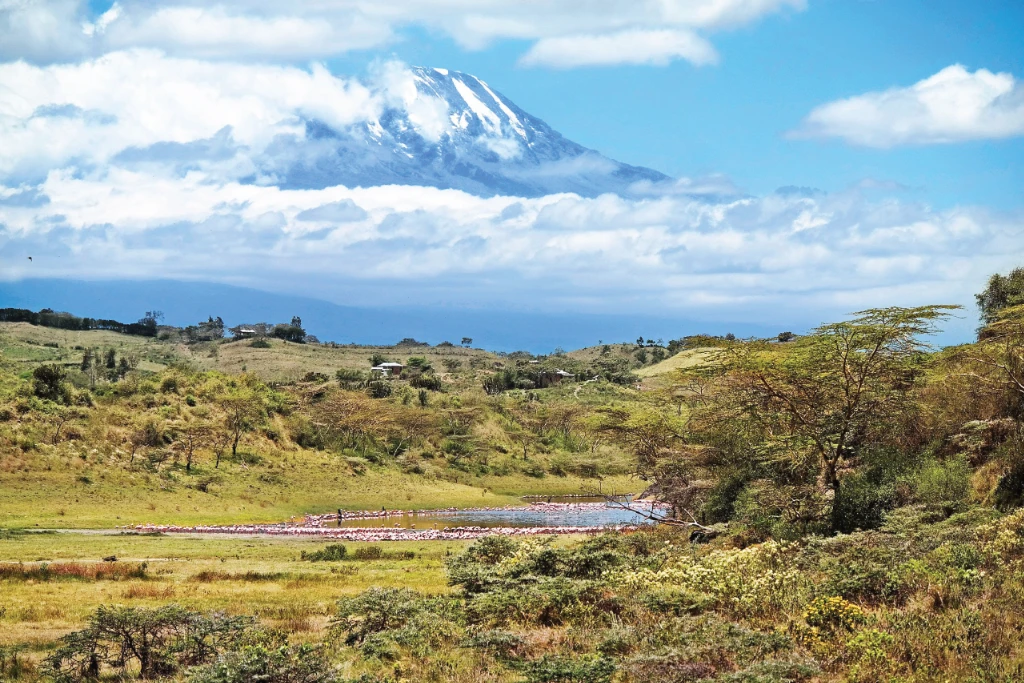Arusha National Park, with Mount Kilimanjaro in the background with its signature snow-capped peak partially covered by clouds