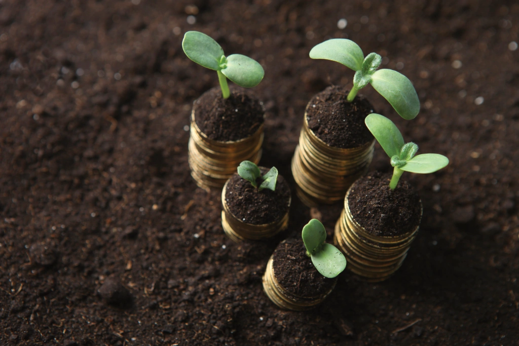 Stacks of coins with seedlings growing on top of them