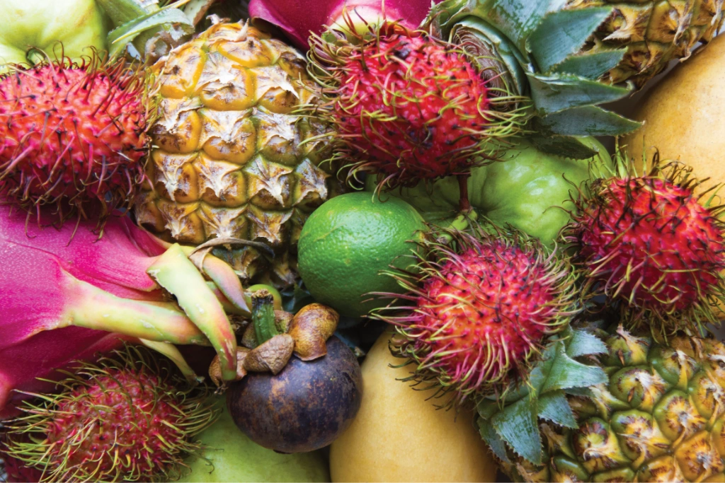A variety of tropical fruit