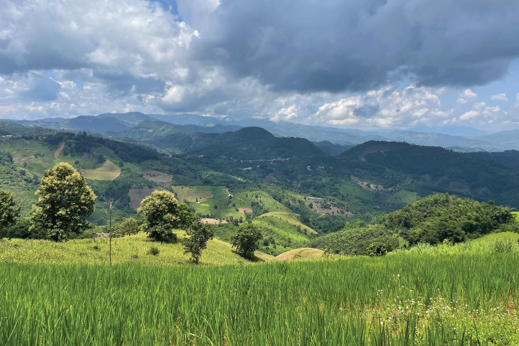 Hilly Landscape, with varied crops Hilly Landscape, with varied crops