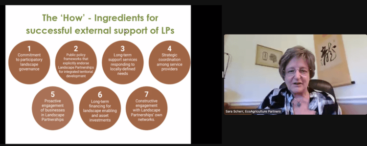 Dr Sara Scherr presenting virtually at Cornell University