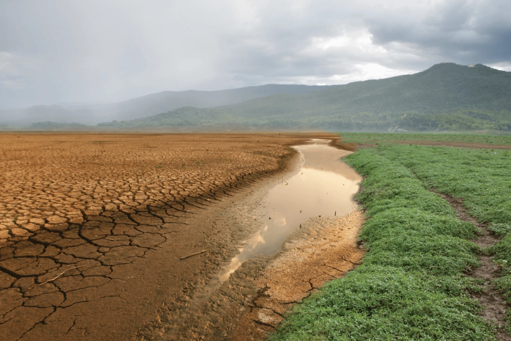 Dry cracked earth