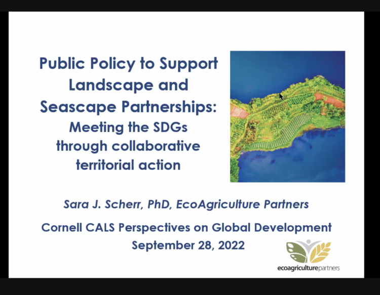 Meeting SDGs through collaborative territorial action