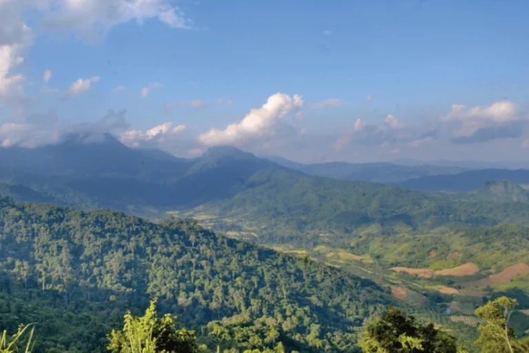 Varied crops in a valley