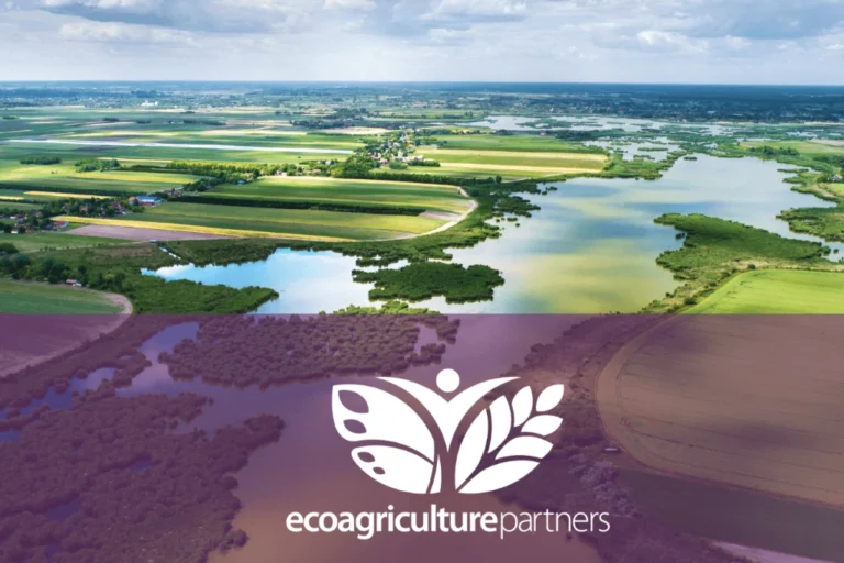 Biodiverse Landscape Biodiverse Landscape