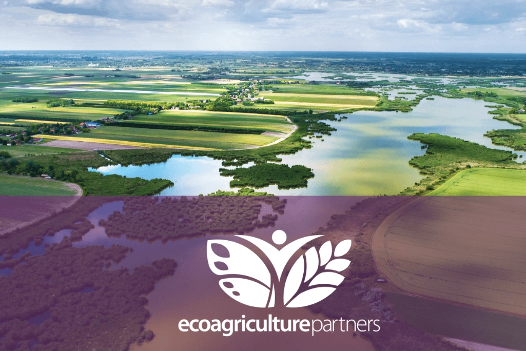 Biodiverse Landscape Biodiverse Landscape